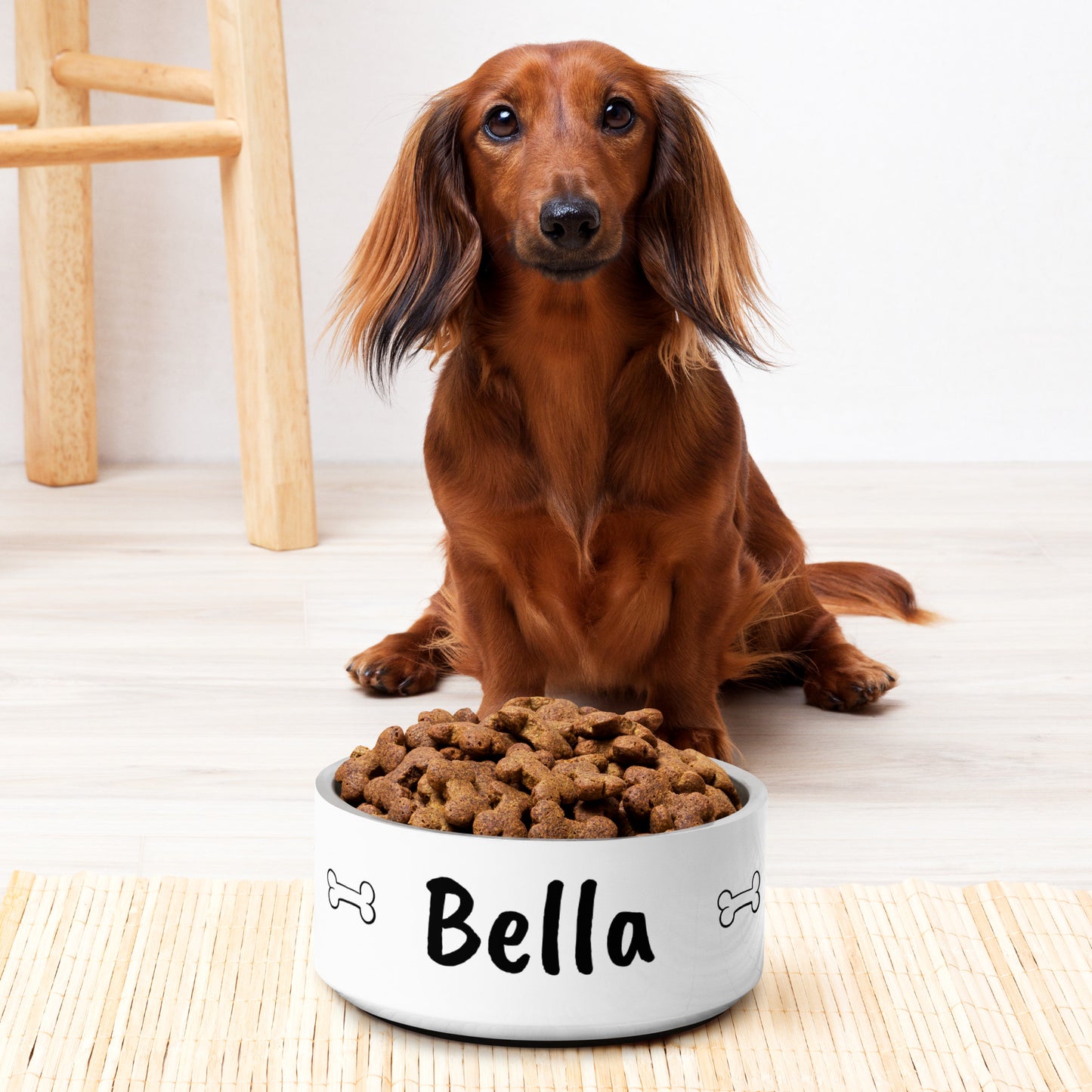 Name Pet Bowl Customized